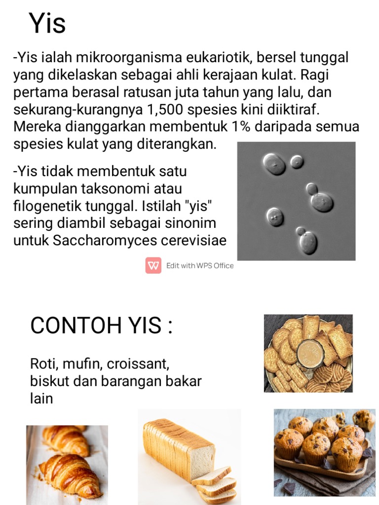YIS Present ) | PDF