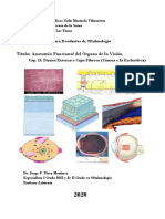 Anatomia Esclerotica y Cornea