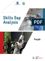 Skills Gap Analysis (Punjab)