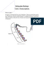 Molecular Biology - Unit 2 DR Divya