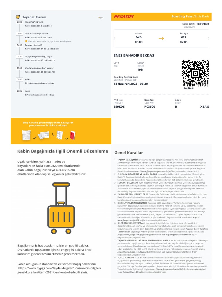 Pegasus Airlines Boarding Pass PDF