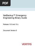 NetBackup10 EEB Guide