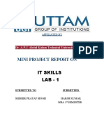 It Project-1