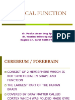 Cortical Function