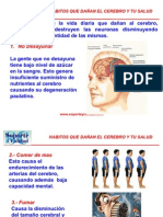 Habitos - Que Dañan El Cerebro y Tu Salud