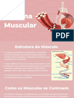 Apresentação Sistema Muscular