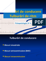 LP 4 - Blocuri de Ramura + Tulburari de Ritm