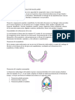 Crecimiento y Desarrollo Maxilares