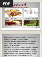 Lecture4 Biochemistry