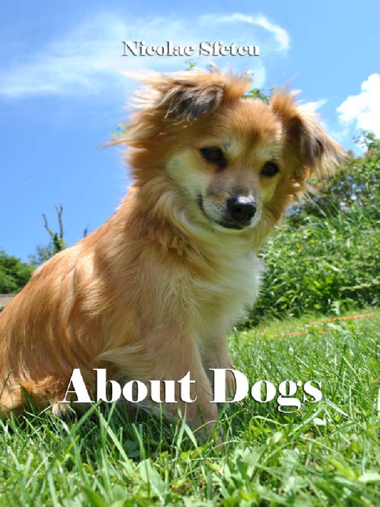 Comprehensive Guide to Dogs | PDF | Breeds | Dogs