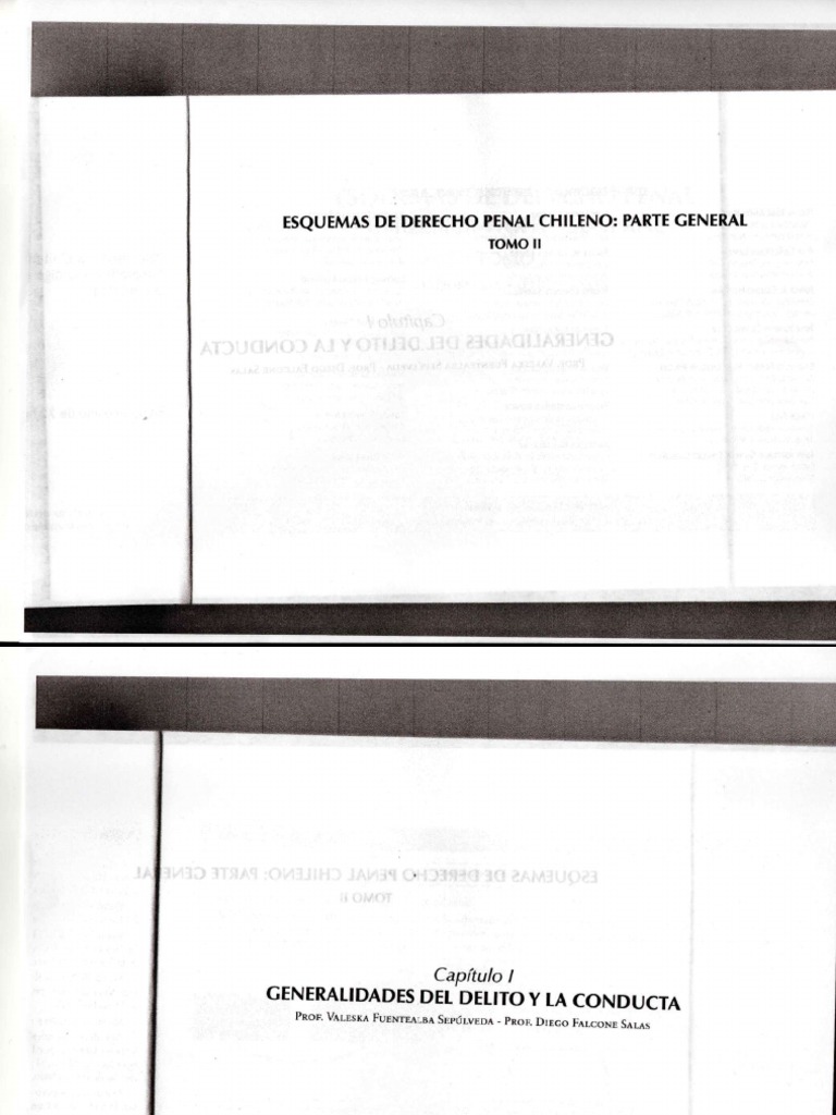Esquemas de Derecho Penal Chileno Parte General Tomo II Compressed | PDF