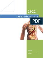 Anatomía Humana (Cuerpo Humano)