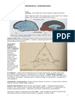 Sem 01 - Neuroanatomia