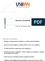 Sistema Circulatório