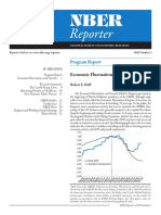 Program Report - Economic Fluctuations and Growth, 2010