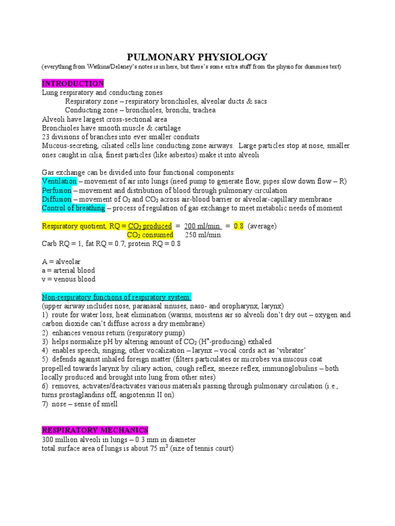 Understanding Pulmonary Physiology Basics | PDF | Lung | Respiratory System