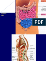 2021 Farmacia Digerente 2 23 26 Aprile