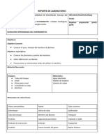 Reporte de Laboratorio