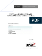 25.ucayali - Datos para El Planeamiento Estrategico - 29072021