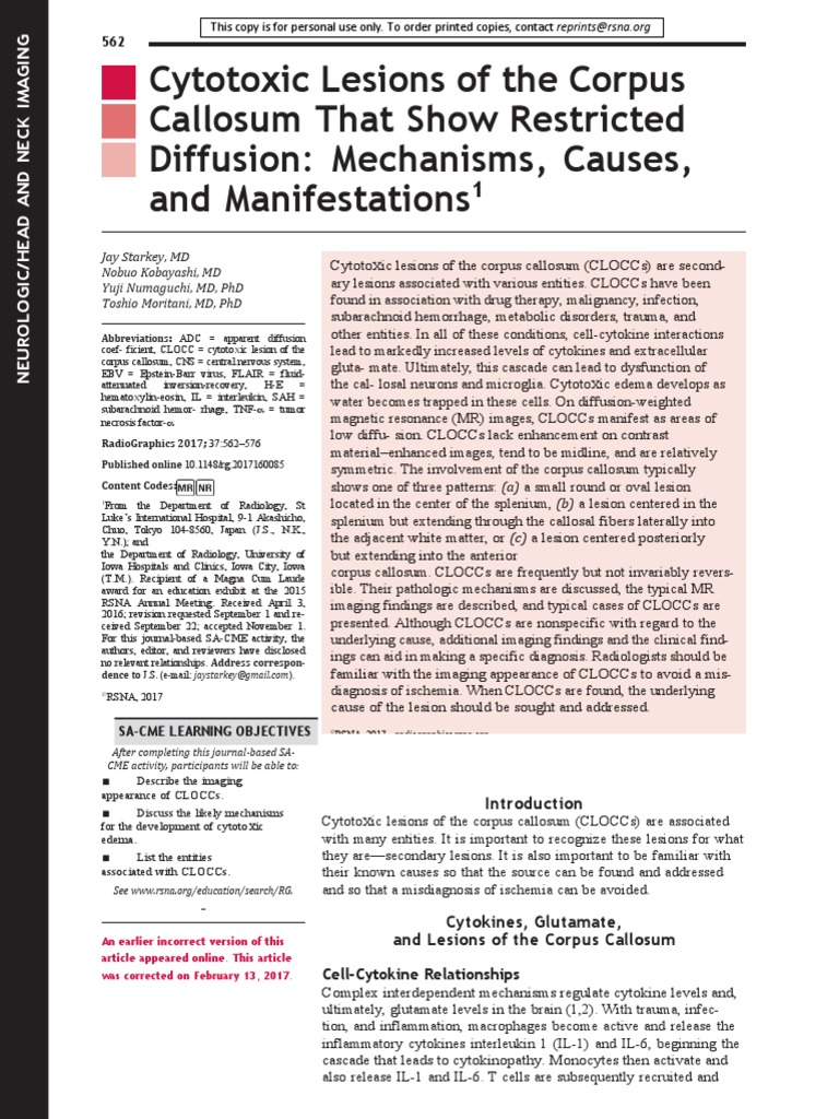 Understanding CLOCCs in Radiology | PDF | Corpus Callosum | White Matter