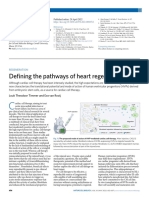 Defining The Pathways of Heart Regeneration