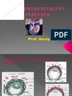 2023 Membranas Fetales y Placenta Prof Soraya Duarte