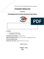 Estructura Del Informe Del Diagnósitco