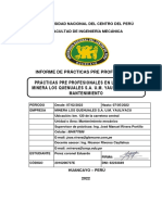 Informe de Prácticas Preprofesionales