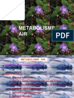 Metabolisme Air