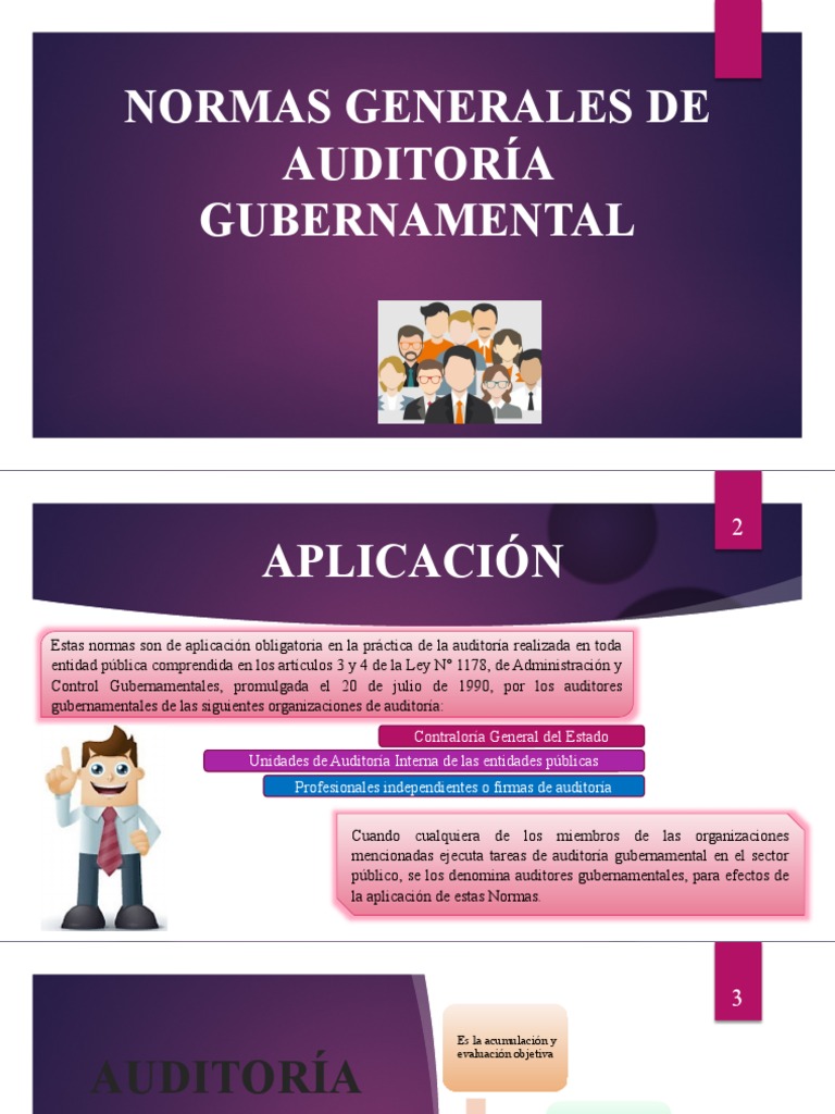 Normas Generales de Auditoria Gubernamental | Descargar gratis PDF ...
