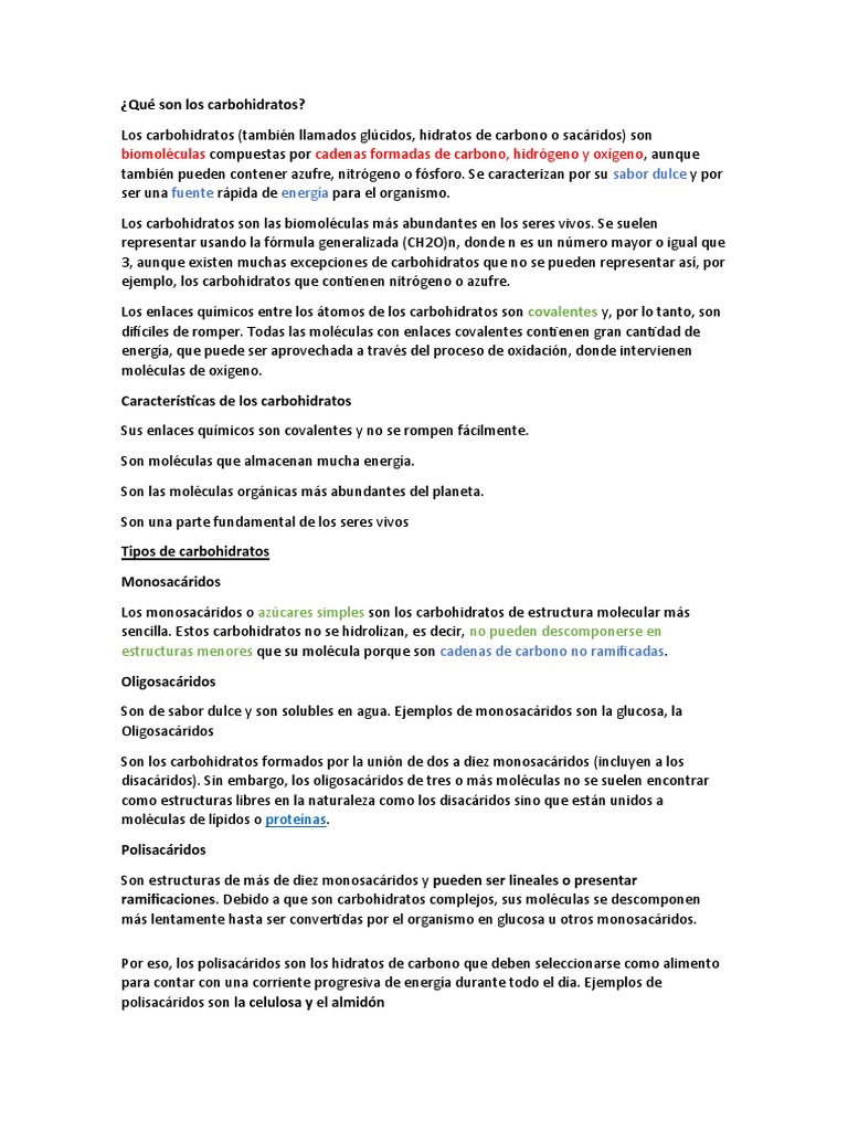 Qué Son Los Carbohidratos Pdf