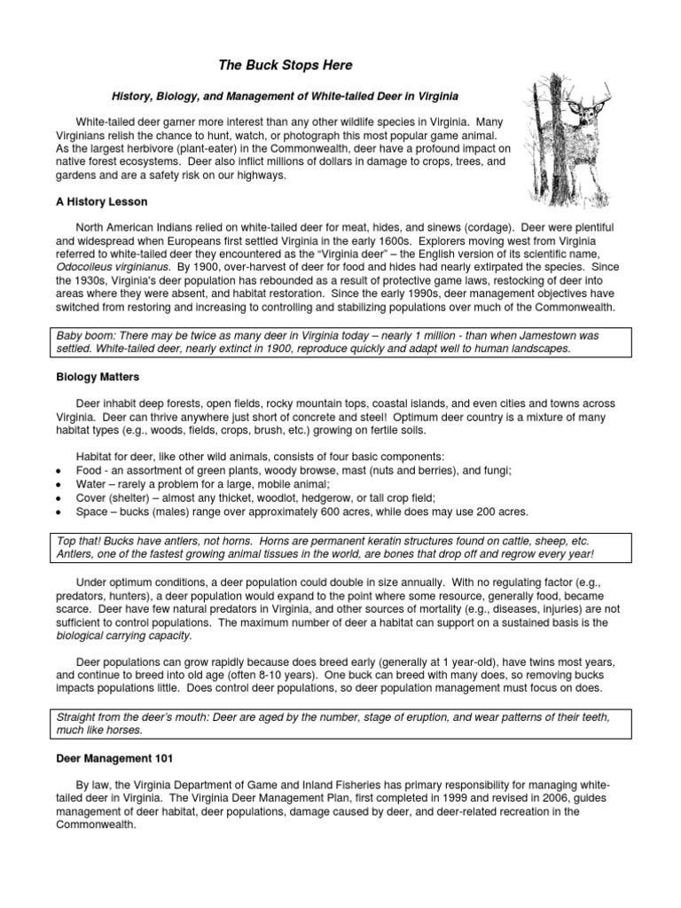 The Buck Stops Here PDF White Tailed Deer Deer