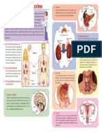 05-05-2023 FICHA CT SISTEMA ENDOCRINO