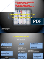 Interpretacion de Perfiles - Ricardo - Hernandez