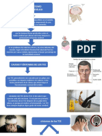 El Traumatismo Craneoencefálico