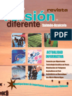 Revista Versión Diferente 23