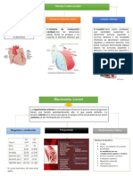 Sistema Cardiovascular Mapas