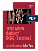 Week 13 Endocrine 2 1 PP