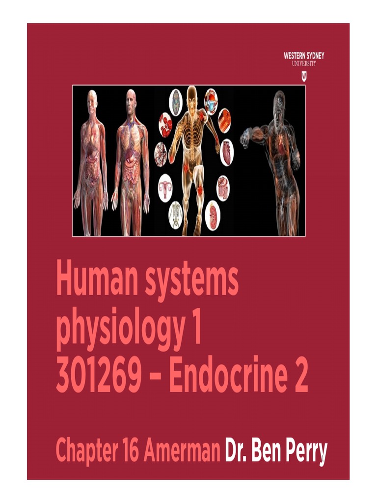 Week 13 Endocrine 2 1 PP | PDF | Thyroid Stimulating Hormone | Pancreas