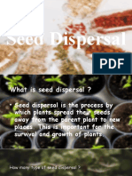 Seed Dispersal