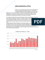 La Situación Ambiental Con Perú