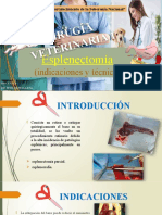 Esplenectomia Exposicion
