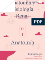 Anatomia y Fisologia Renal