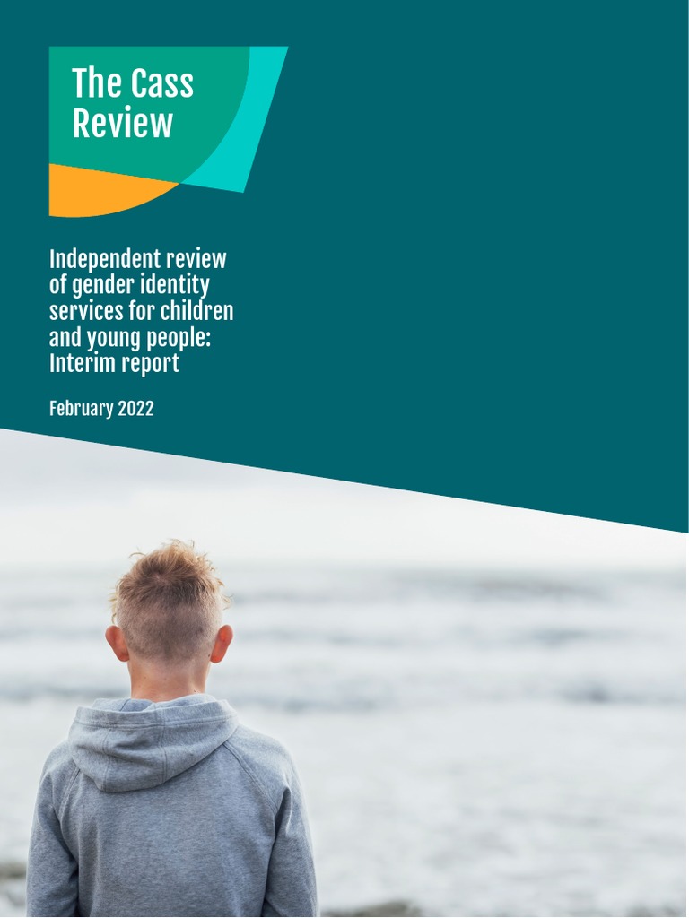 Cass Review Interim Report Final Web Accessible PDF Medicine