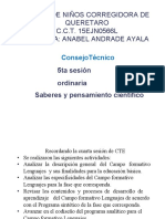 Descrpcion Del Campo y Especificidades, Guia Cte Marzo