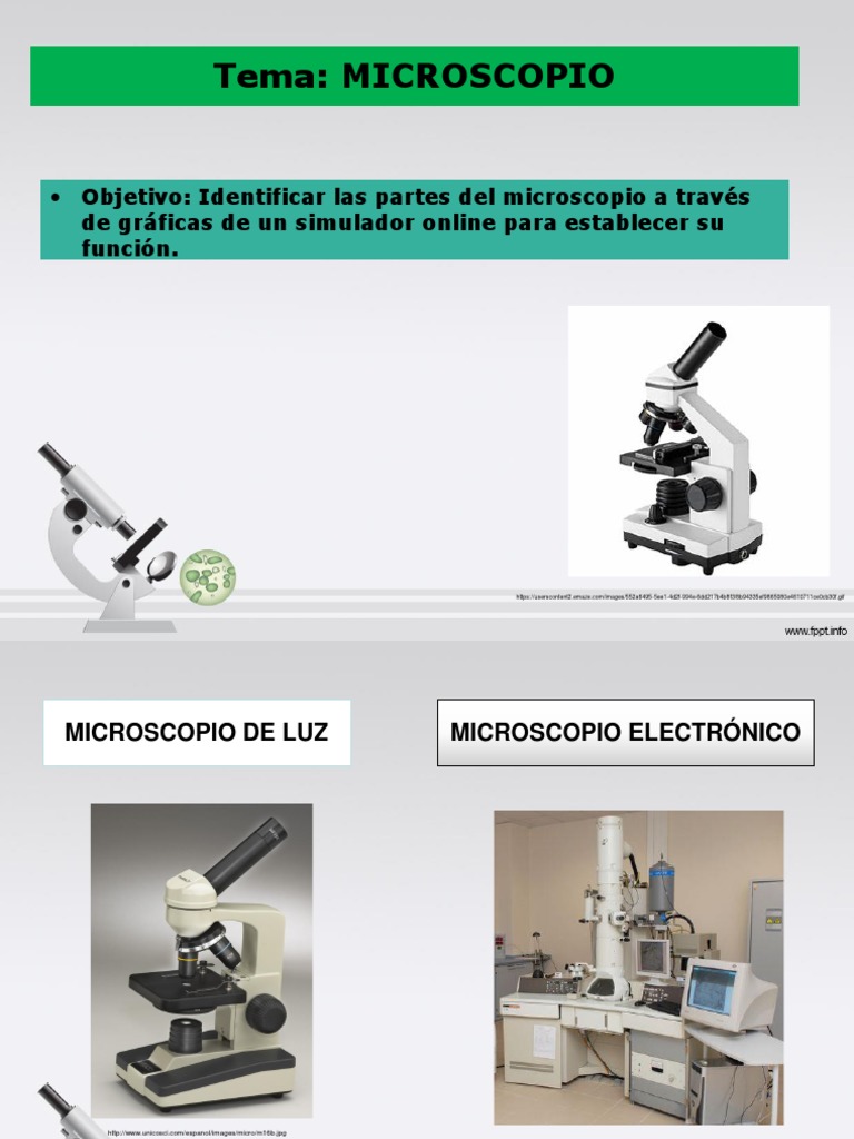 1 2 A Microscopio Pdf Microscópio Electrónico Escaneando Tinción