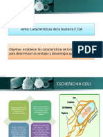 1-2 Ci Células PROCARIOTA E Coli