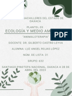 Ecología Animaloterapia Luz