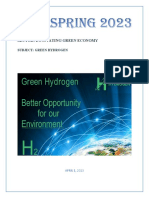Iede - Green Hydrogen - Project Draft