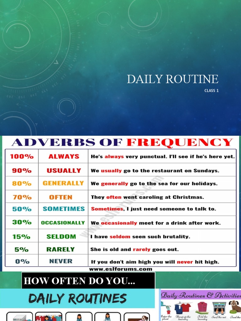 Daily Routine | PDF